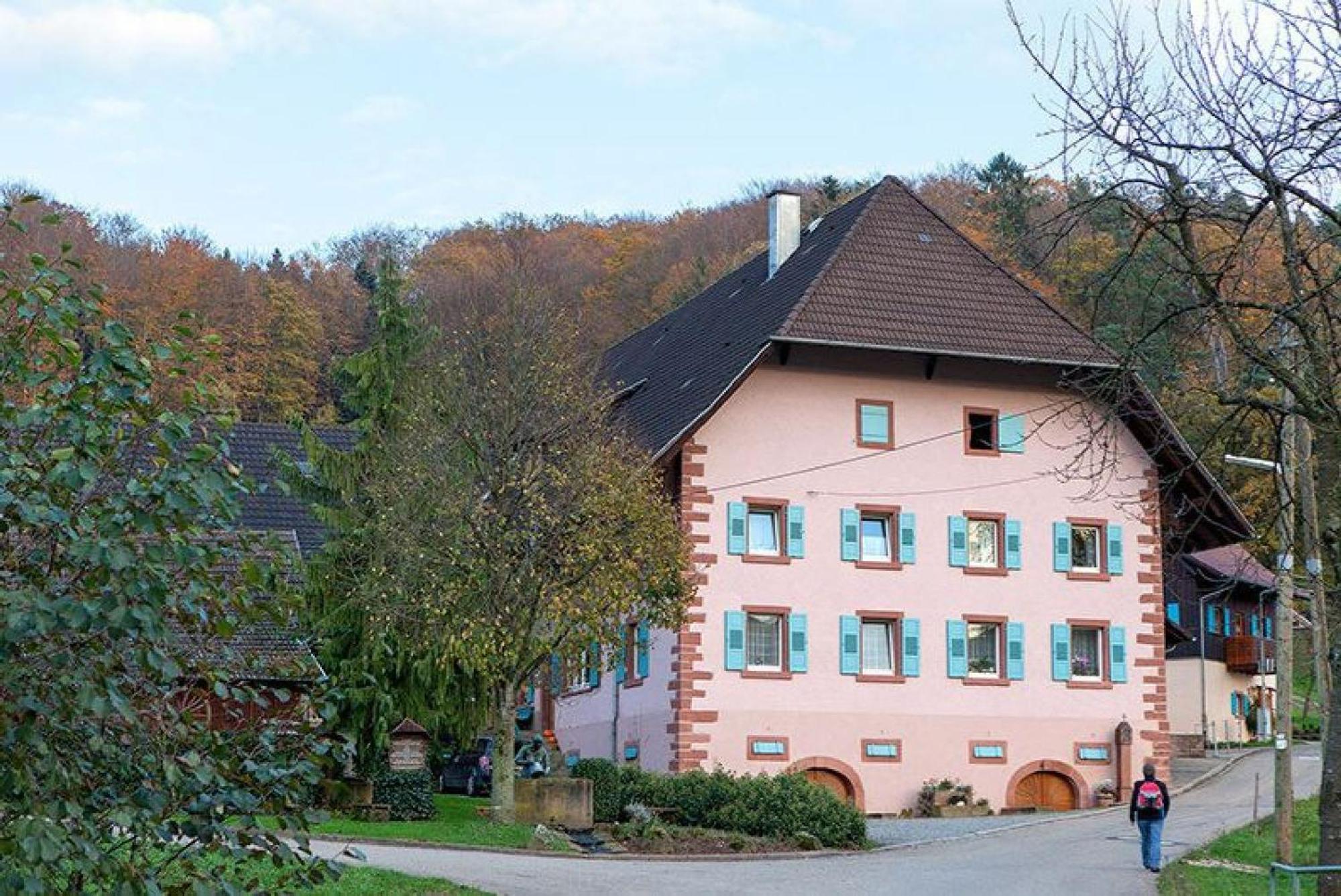 شقة Ziegelhof Schuttertal المظهر الخارجي الصورة